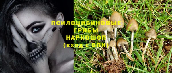 spice Козельск
