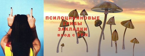 spice Козельск