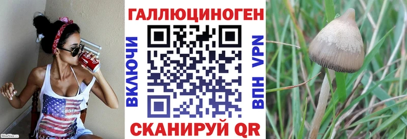 Купить где  Беслан  Псилоцибиновые грибы Magic Shrooms 